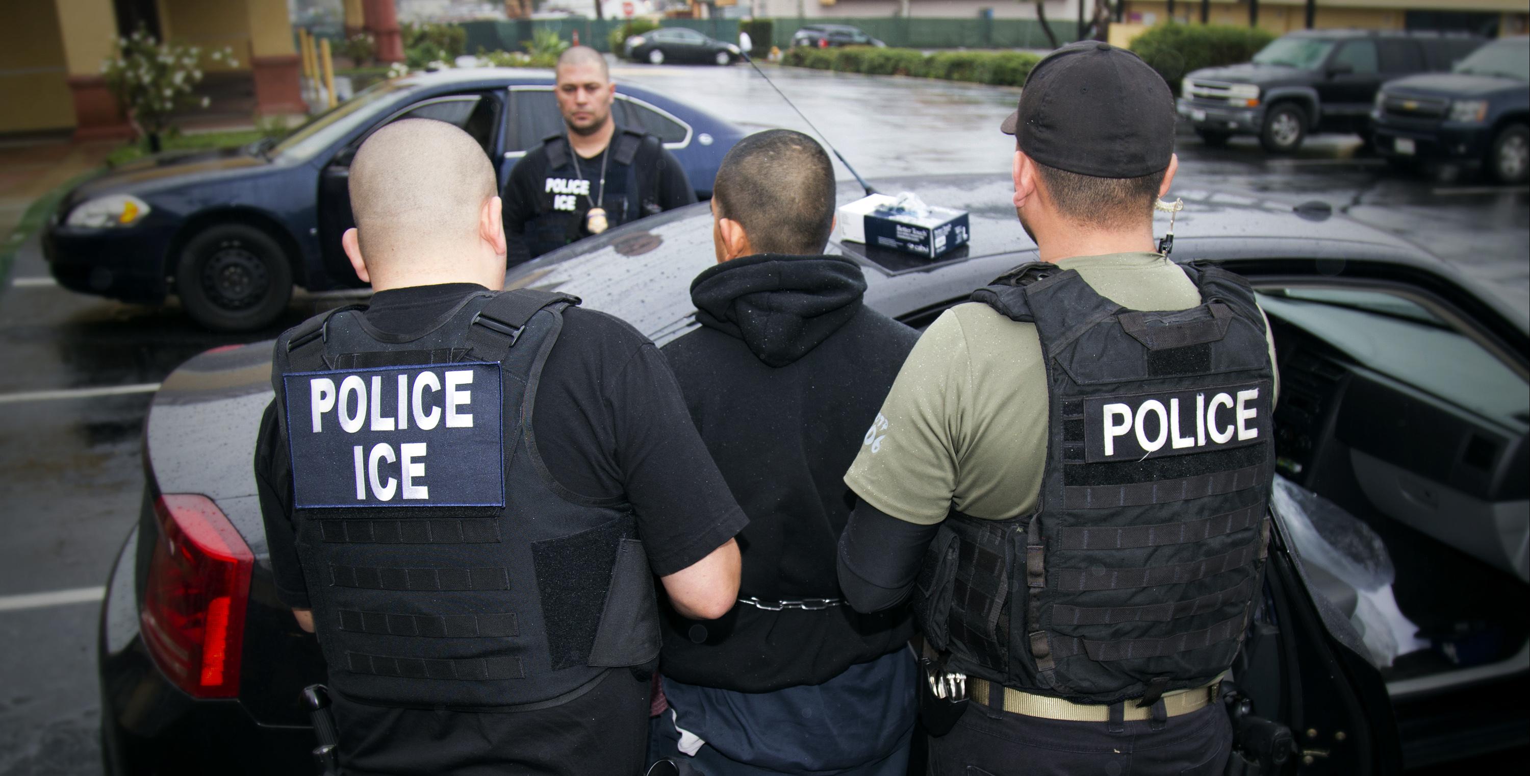Understanding the Implications of Increased Deportation Rates