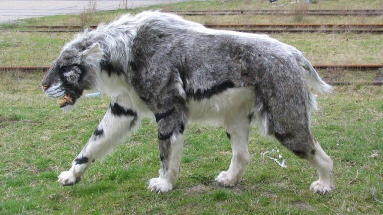 Extremely rare animal with genetic mutation hides in plain sight in jaw-dropping footage