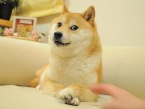 REVEALED: Elon Musk and DOGE’s final goal as it launches blitzkrieg through the federal government