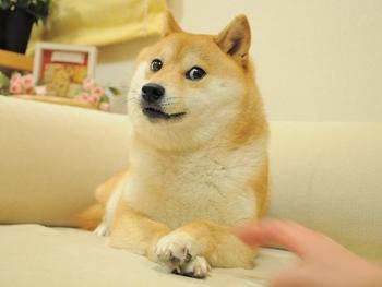REVEALED: Elon Musk and DOGE’s final goal as it launches blitzkrieg through the federal government
