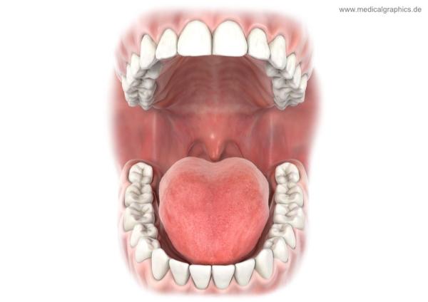 Worst thing we can do in bed revealed – and we do it with an open mouth