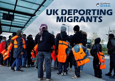 Albanian criminal’s deportation from the UK is halted amid judge’s concerns for his son… after 10-year-old said he didn’t like chicken nuggets from outside Britain