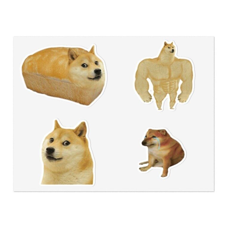DOGE for all: States are now looking to create their own cost-cutting agencies