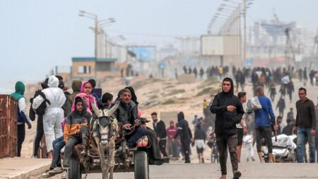 Who are remaining Israeli hostages in Gaza and when might they be freed?