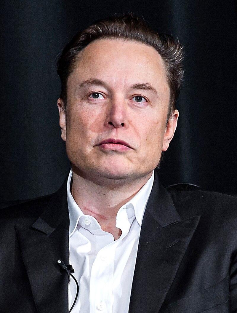 Elon Musks Condemnation of Political Leadership in ⁣South Africa