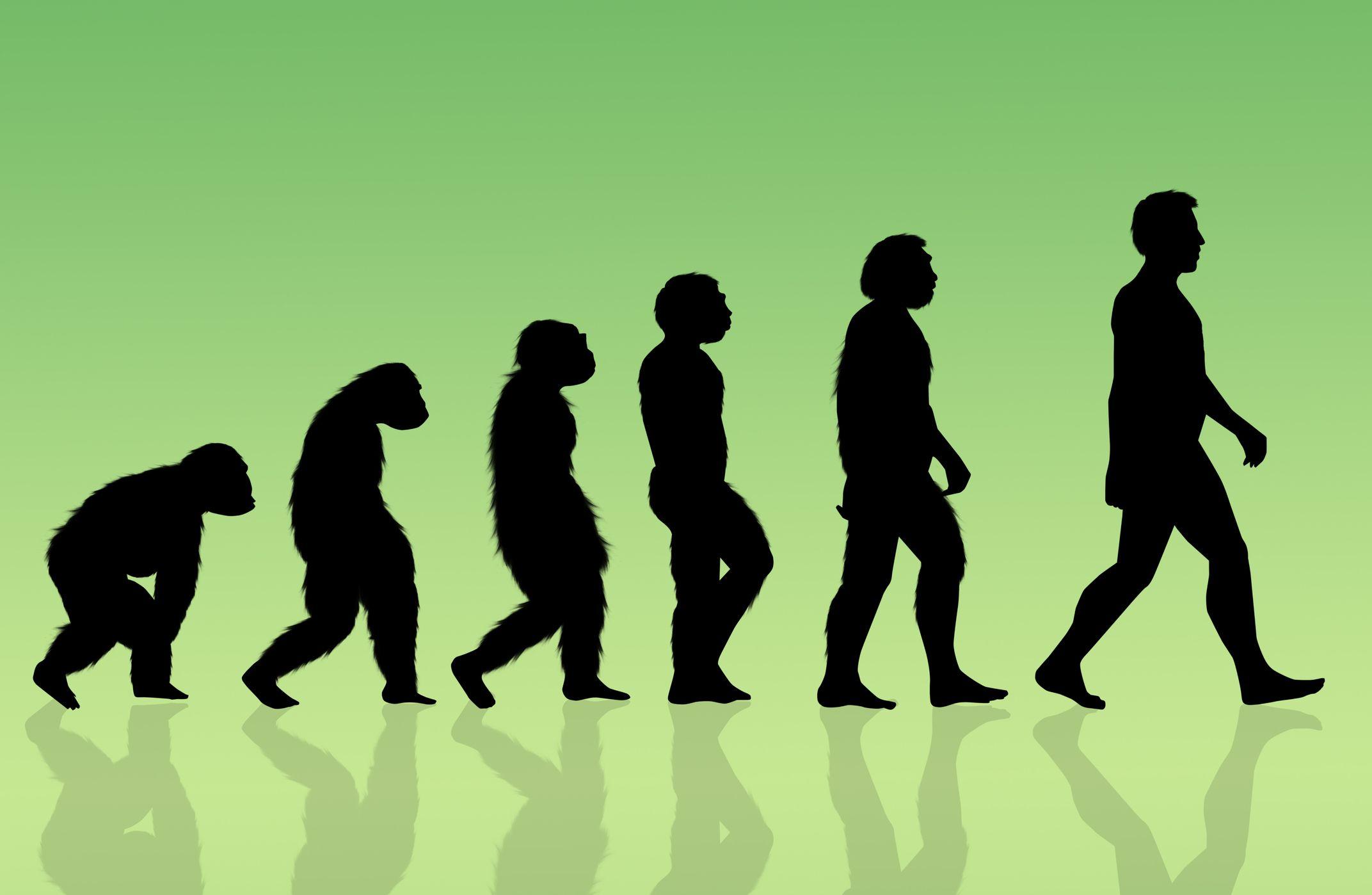 Evolving Threats in a Multipolar World