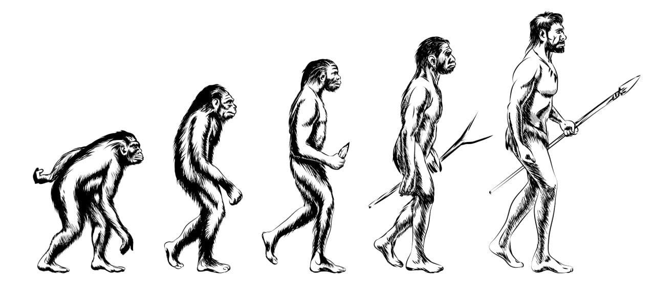 The Evolution‍ of English⁢ Cuisine and Dining Experiences