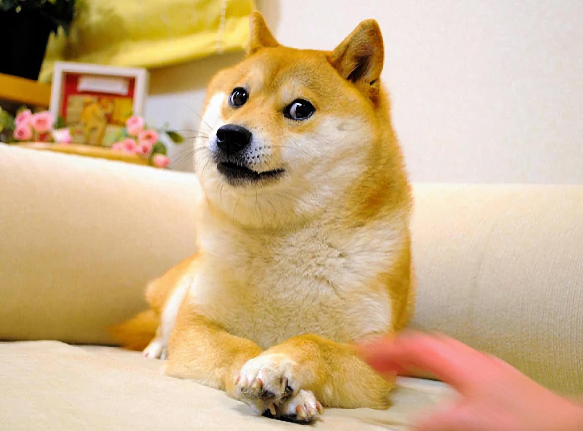 Strategic Recommendations​ for States Implementing DOGE Initiatives