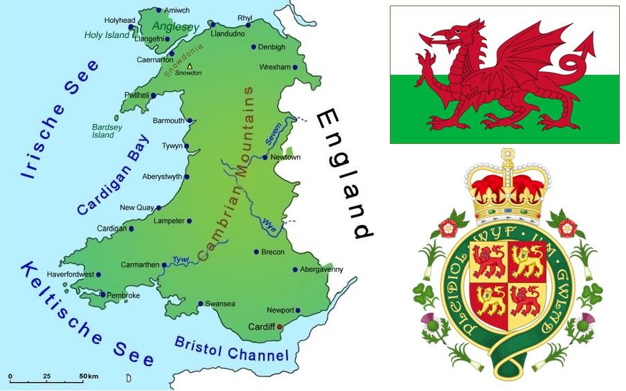 Future Prospects: What Sherratt Needs to Succeed with Wales