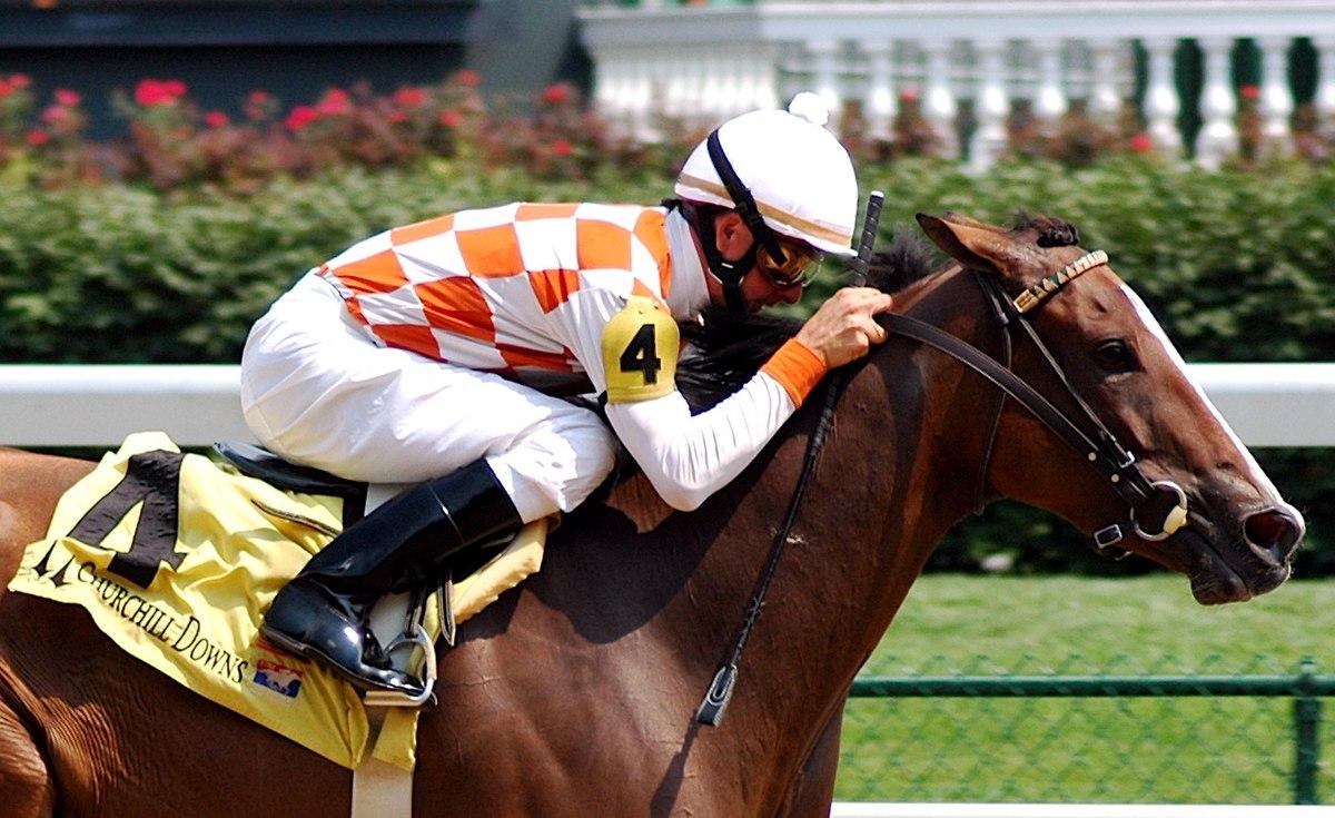 Jockey Michael O'Sullivan dies aged 24 after fall in race