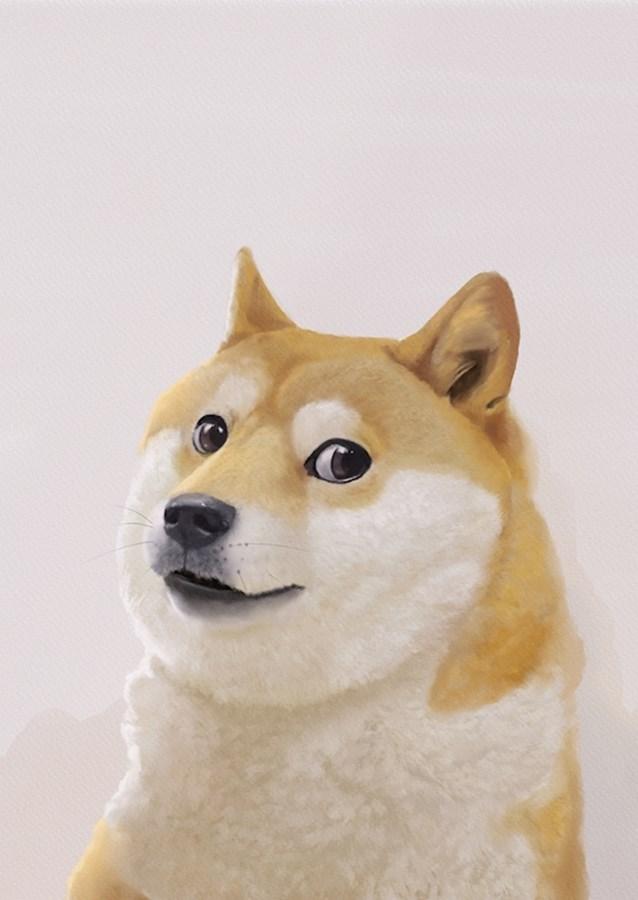 The Future of ⁢Public Finance: Integrating DOGE into Government ⁣Budgeting Strategies