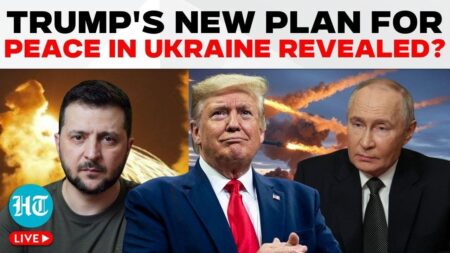 Ukraine Russia war ceasefire live: Major update as Donald Trump view now clear