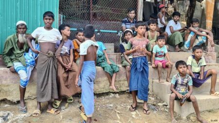 World Food Programme halves food rations for Rohingya in Bangladesh