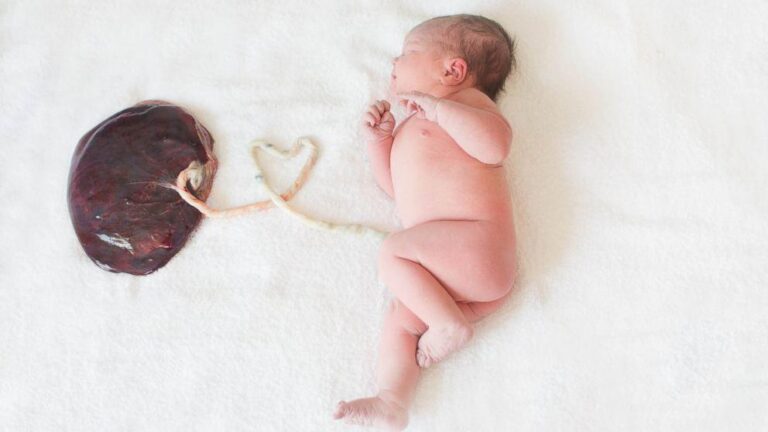 Oldham park remains revealed as ‘human placenta’ from recently born baby