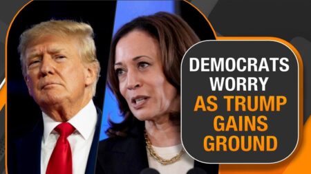 Democrats worry on ‘how f***** they are right now as a brand’ and their descent into the minority against Trump and MAGA