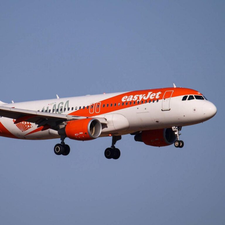 Woman dies on easyJet flight to UK after passengers fought to save her – Belfast Live