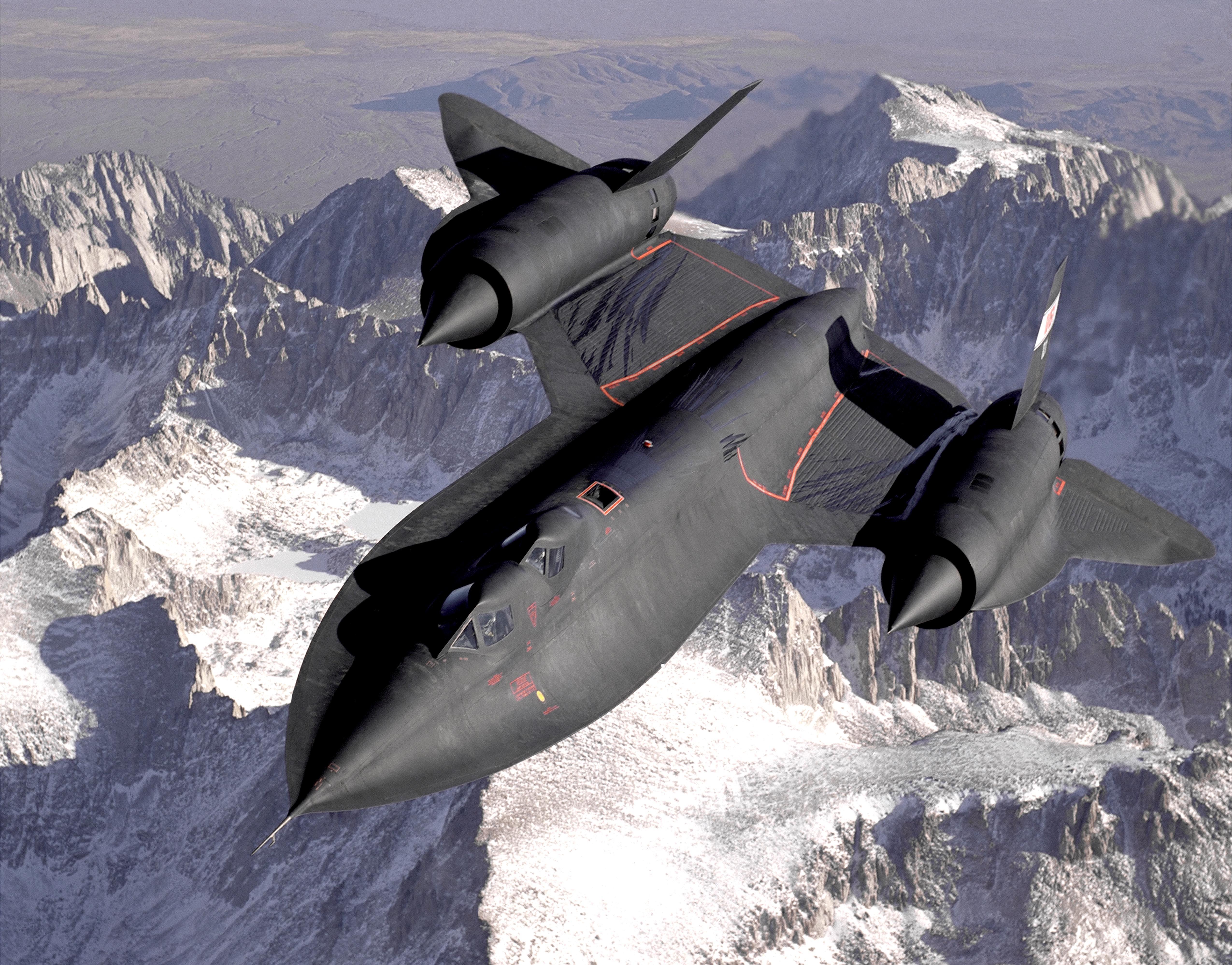 Blackbird Die-Off: Understanding the Emerging Virus Threat in the UK