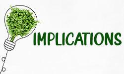 Implications for Local Crime Prevention‍ Initiatives