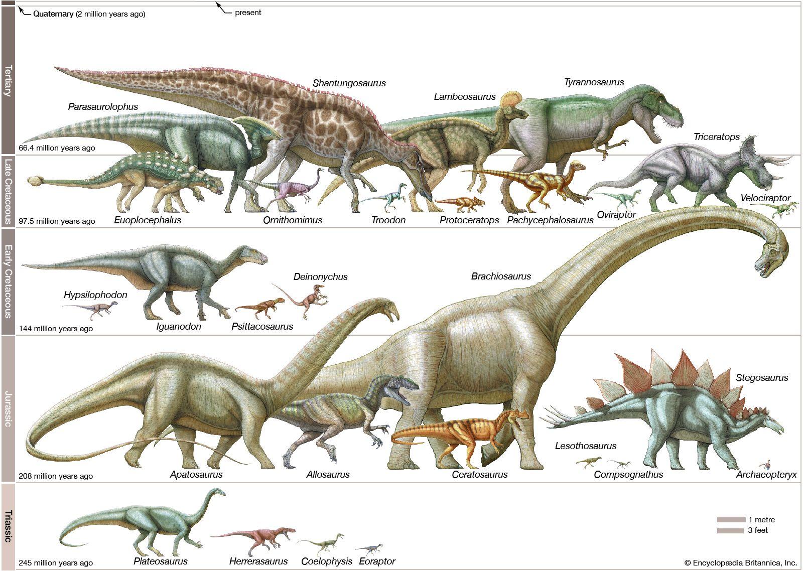 More‌ than 60 dinosaur footprints found on boulder ⁣that sat at Queensland school ⁢for 20 years