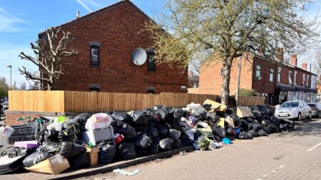 Impact of Birmingham bin strikes completely unacceptable – PM – BBC
