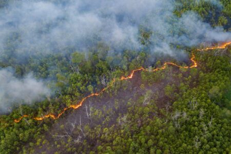Peatland burning ban aims to protect wildlife and England’s carbon stores – The Guardian