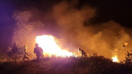 Two large fires on nature reserves in Poole overnight – Bournemouth Echo