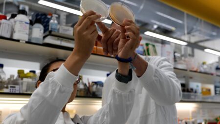 Centre for Microbial Interactions launched at Norwich Research Park – John Innes Centre