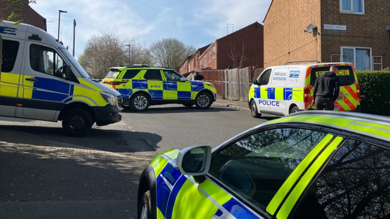 Attempted murder arrest as XL Bully ‘on the loose’ in Sheffield – BBC