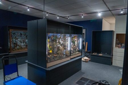 Mansfield Museum steps into the Threads of Time – Mansfield District Council