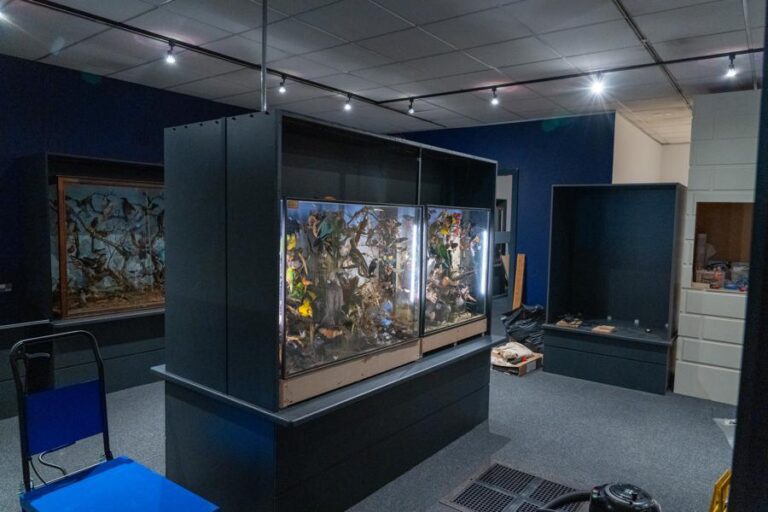 Mansfield Museum steps into the Threads of Time – Mansfield District Council