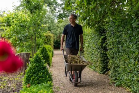 Bishop of Norwich’s historic garden to open to public – EDP24