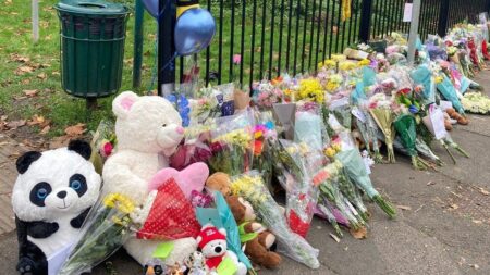 Family of 4 boys killed in Sutton house fire describe ‘nightmare’ as mum convicted of manslaughter – Surrey Live