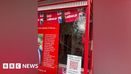 Boy, 15, from Swindon, launches his own political party – BBC