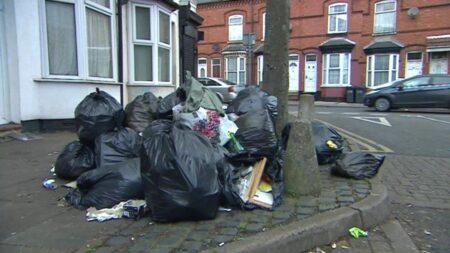 Birmingham law student takes on bin strike union with court threat over ‘despicable behaviour’ – Birmingham Live