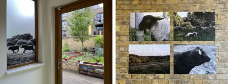 Thornton Heath revealed as Croydon area where houses sell quickest – Sutton Guardian
