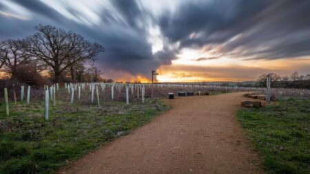 Wildlife Trust objects to new homes plan near Peterborough – BBC