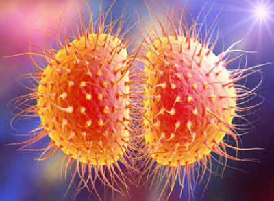 Potential new antibiotic for gonorrhoea as superbugs rise – Bournemouth Echo