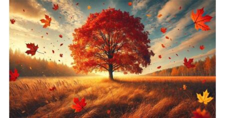 Council’s autumn leaves sweep up will generate enough electricity to boil more than 5 million kettles – Westminster City Council