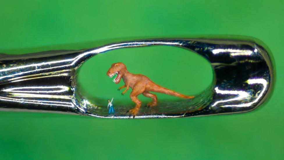 Wollaton Hall New Dinosaur Gallery, New Charges and a brand-new Annual Nottingham City Museum Rover Ticket Announced – My Nottingham News