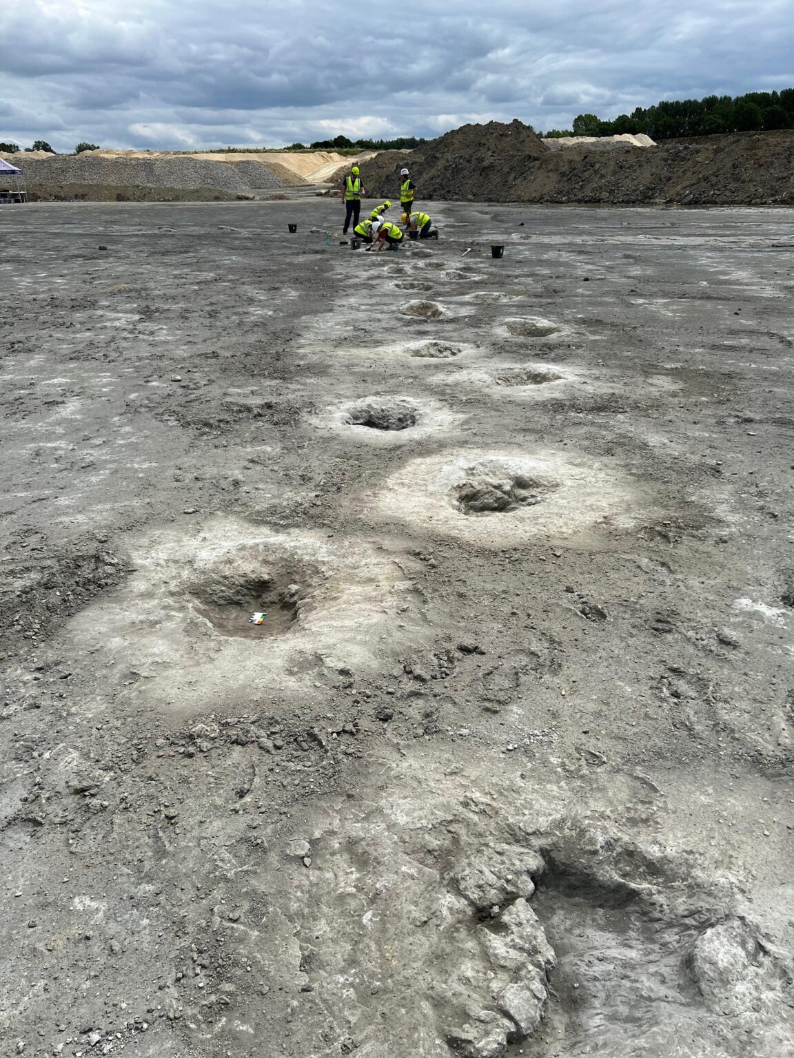 Major new footprint discoveries on Britain’s ‘dinosaur highway’ – University of Oxford