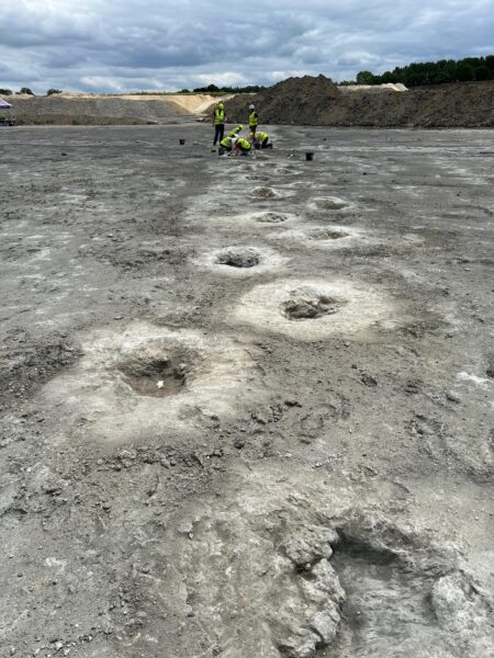 Major new footprint discoveries on Britain’s ‘dinosaur highway’ – University of Oxford