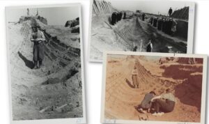 Oxford historian offers new theory for Suffolk Sutton Hoo graves – BBC