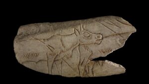 Ice age art to be showcased alongside Matisse at Cliffe Castle Museum – Telegraph and Argus