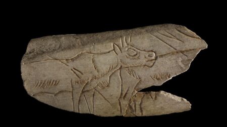 Ice age art to be showcased alongside Matisse at Cliffe Castle Museum – Telegraph and Argus