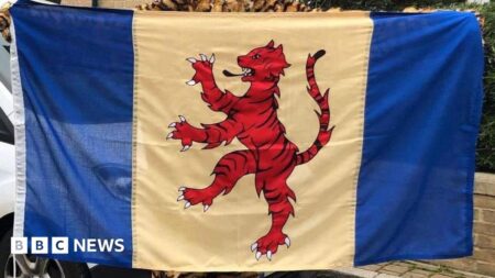 Flag-raising in Peterborough will mark Commonwealth Day – BBC