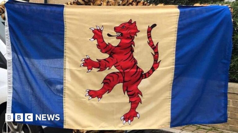 Flag-raising in Peterborough will mark Commonwealth Day – BBC