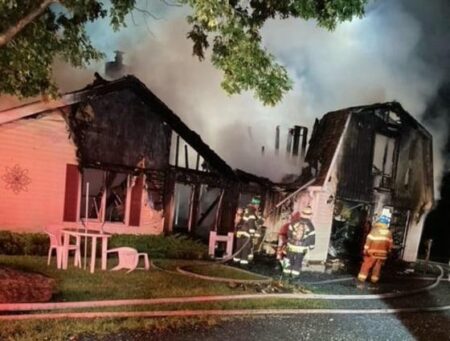 Devon woman escapes dramatic house fire after dogs wake her up – Plymouth Live