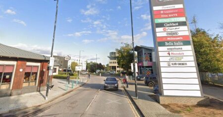 Woman killed in Crawley Leisure Park horror as car crashes into family – Daily Star