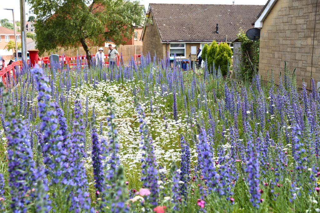 Mansfield sustainable drainage systems – Arup
