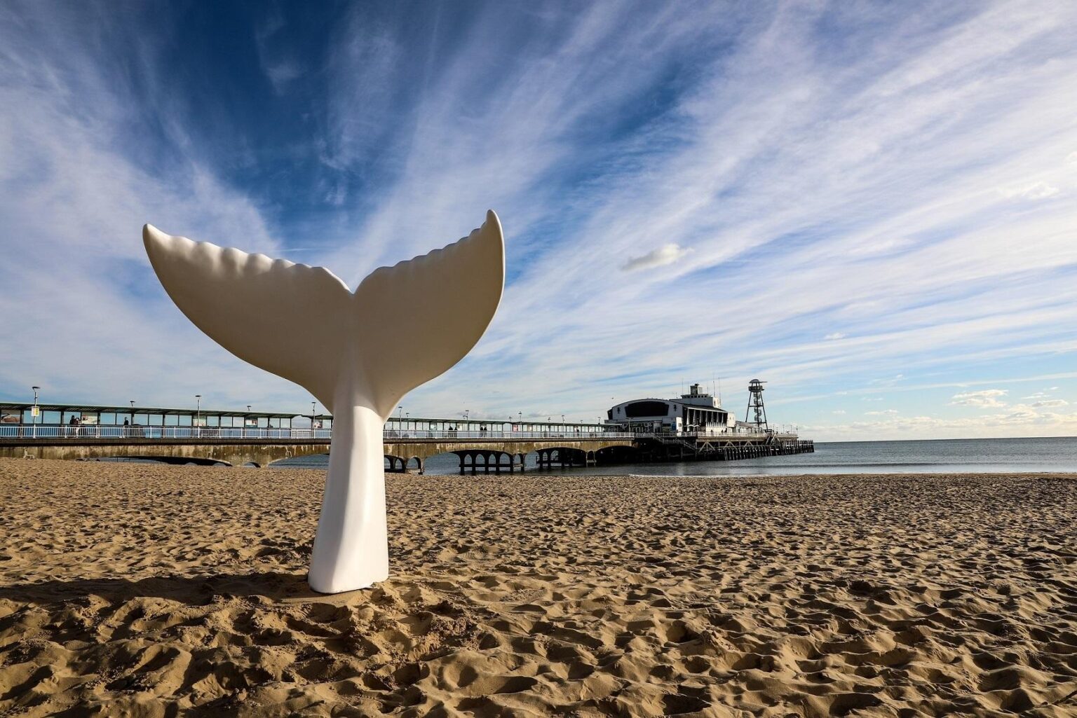 Giant mermaid tail sculpture on display as part of art trail – Bournemouth Echo